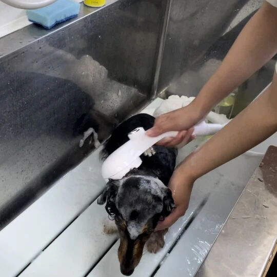 ギャラリー
