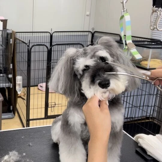 ギャラリー