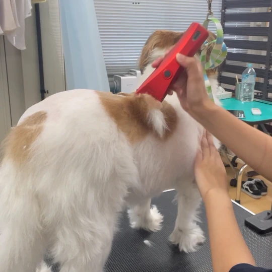 ギャラリー