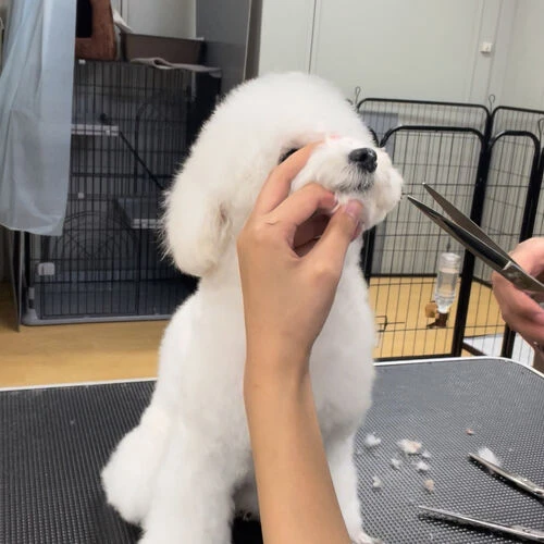 ギャラリー