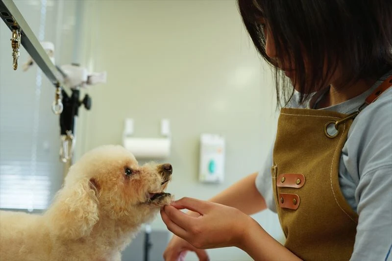 資格を保有する動物のプロが多数在籍