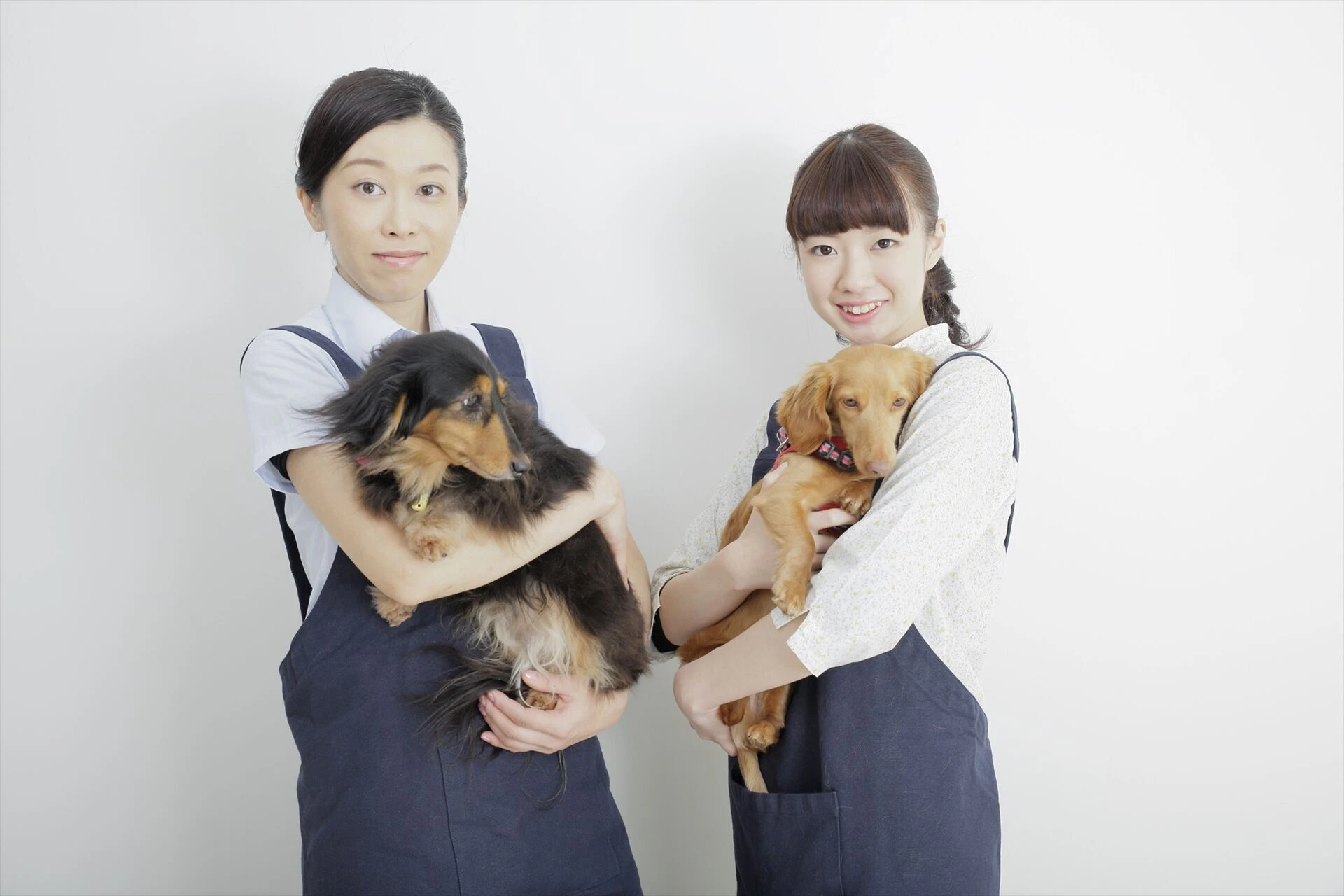 ペットホテル